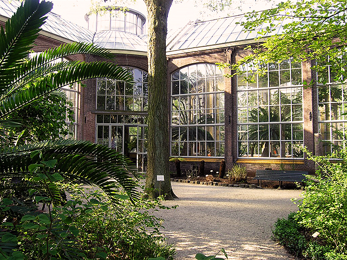 Hortus Botanicus